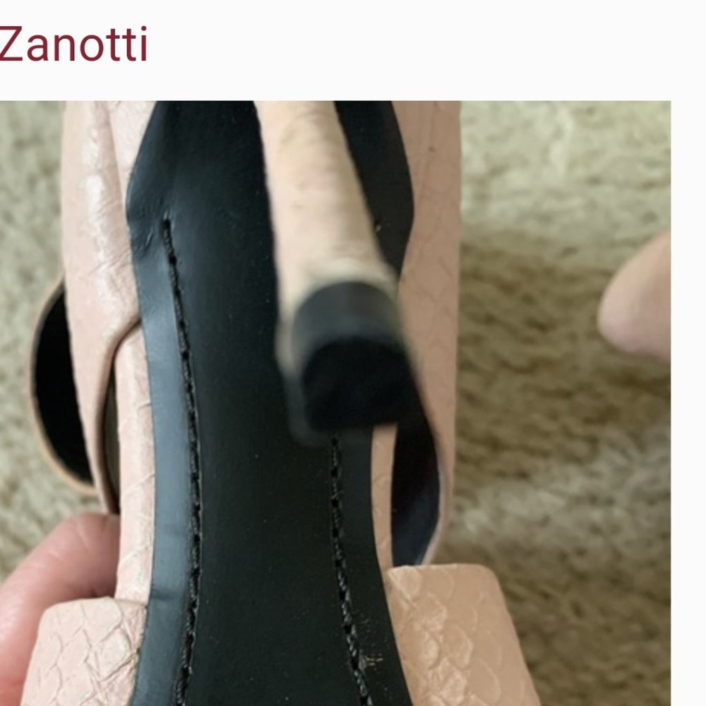 Giuseppe Zanotti - Picture 5 of 6